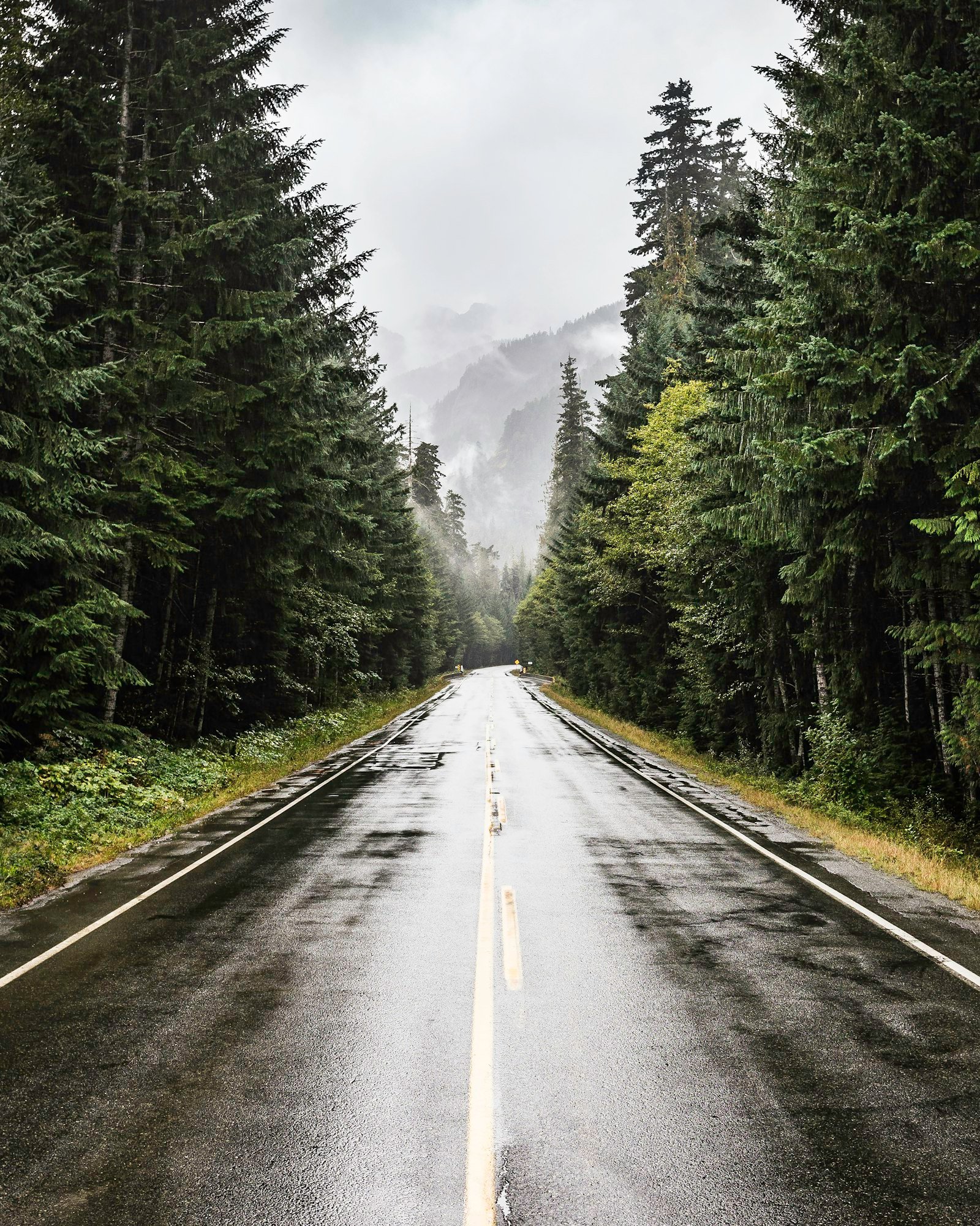 Wet highway in Strathcona-Westmin Provincial Park, Vancouver Island, British Columbia, Canada