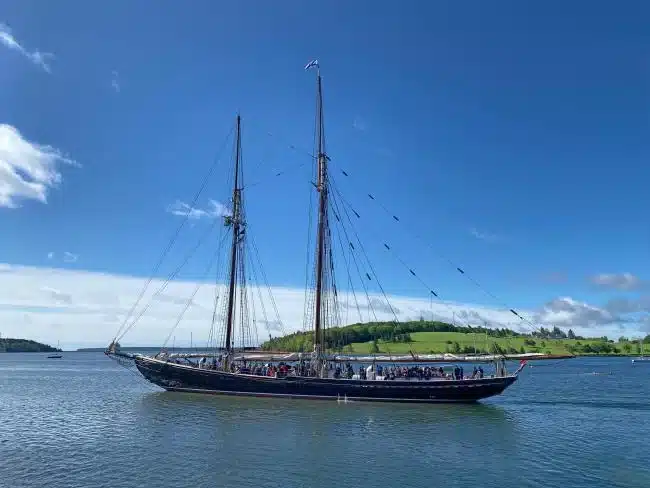 bluenose