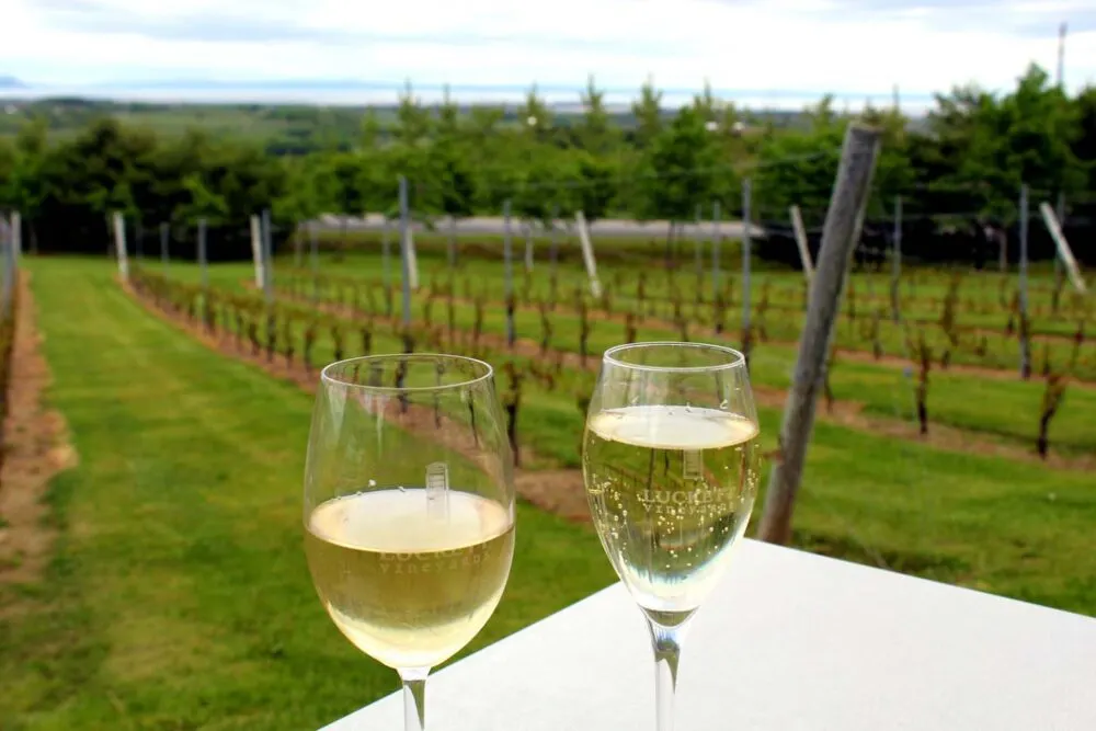 Read more about the article Wolfville wine tour